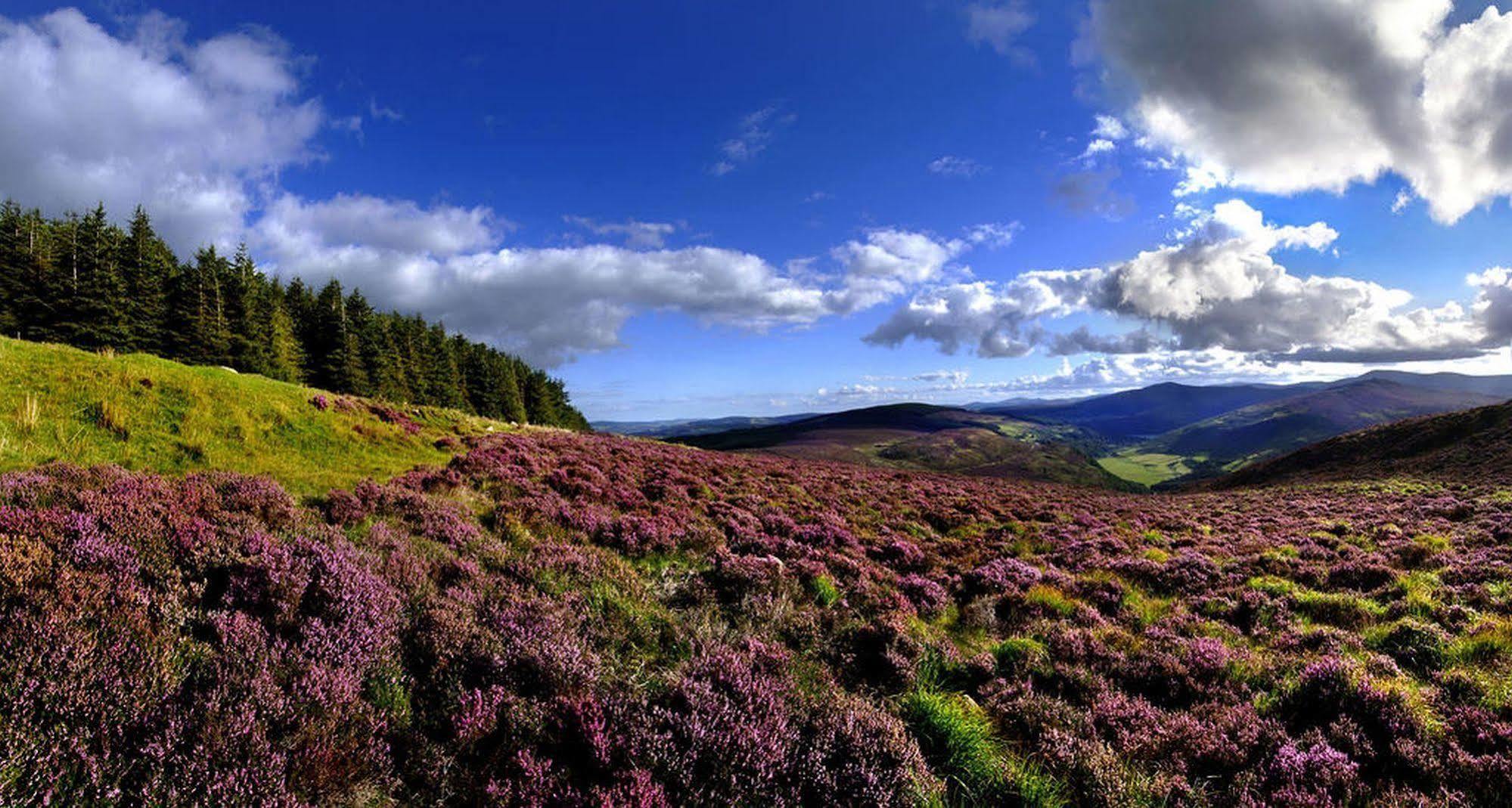 Druids Glen Resort Newtownmountkennedy Bagian luar foto