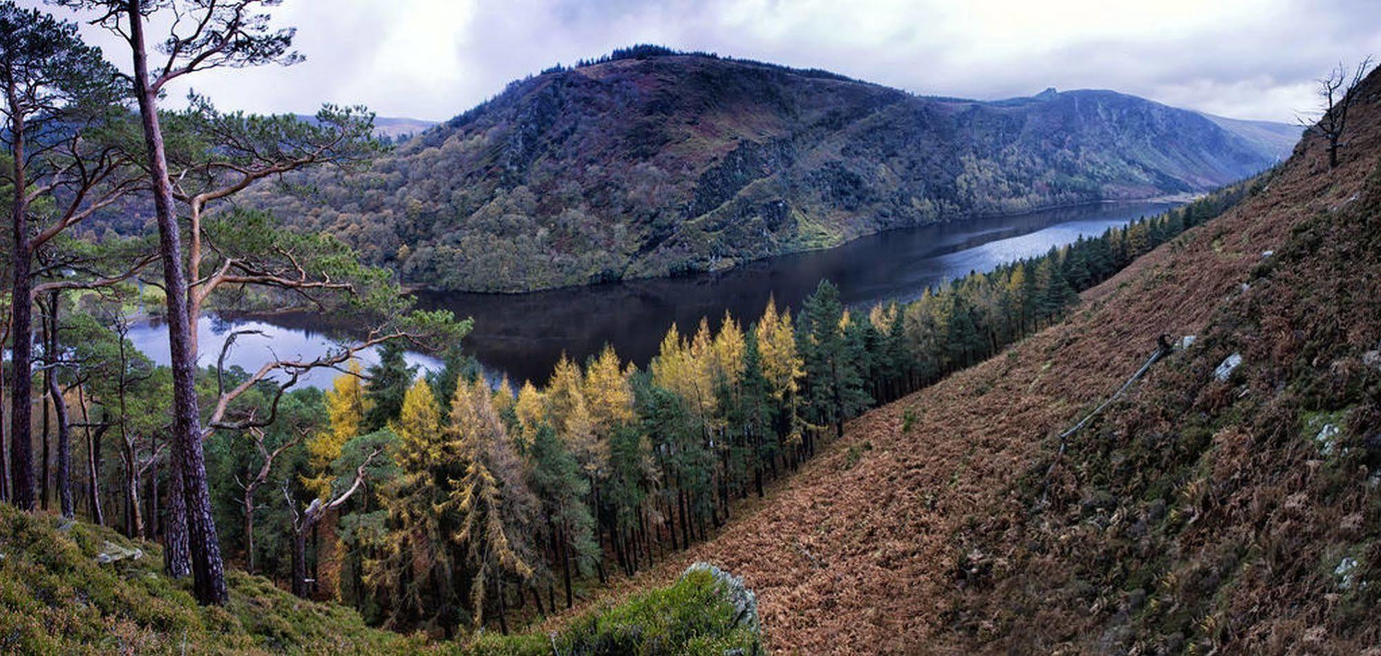 Druids Glen Resort Newtownmountkennedy Bagian luar foto
